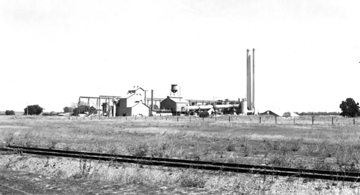 Portland Cement